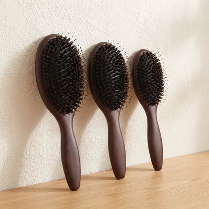 Trois brosses poil de sanglier adossées contre un mur crème 